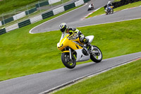 cadwell-no-limits-trackday;cadwell-park;cadwell-park-photographs;cadwell-trackday-photographs;enduro-digital-images;event-digital-images;eventdigitalimages;no-limits-trackdays;peter-wileman-photography;racing-digital-images;trackday-digital-images;trackday-photos